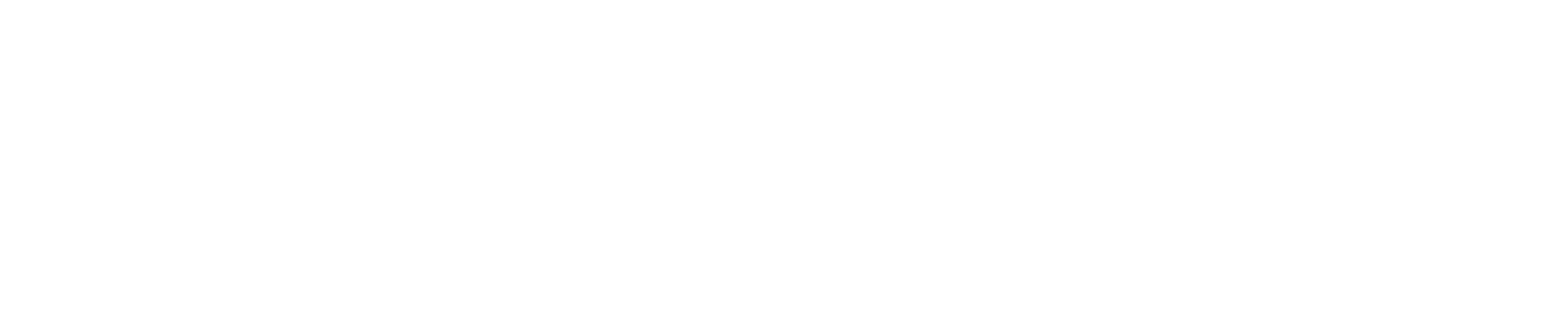 Ethiopian Cargo Logo